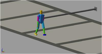 Biped Robots With Compliant Joints for Walking and Running Performance Growing